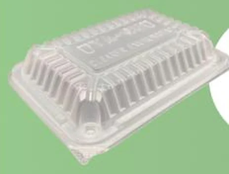 Conventional clear PE food container